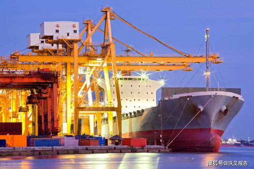 中国国际货运代理行业分析报告